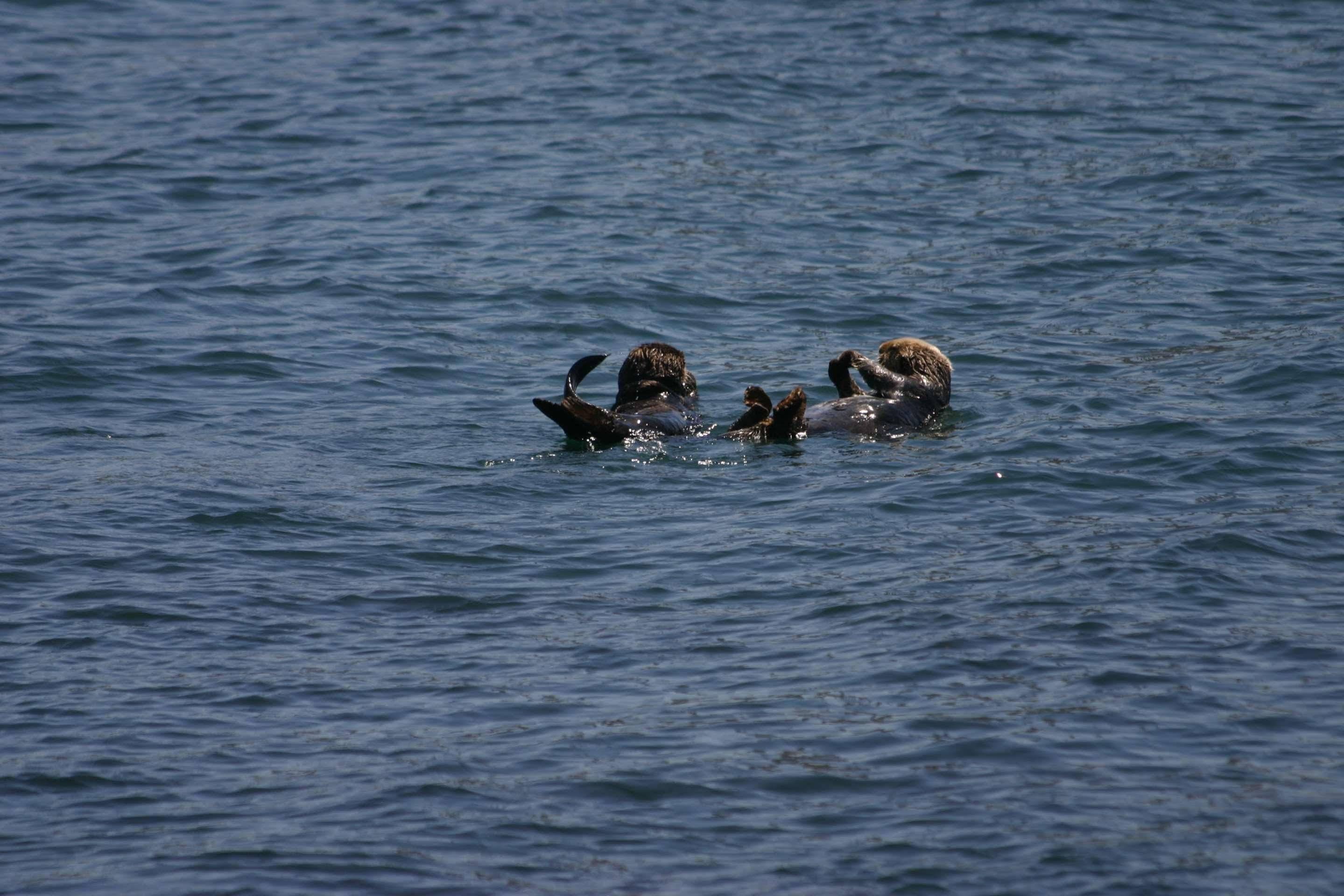 Rodeway Inn At Morro Bay Luaran gambar